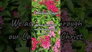 MORNING PRAYER #morningprayer #faith #shortprayer