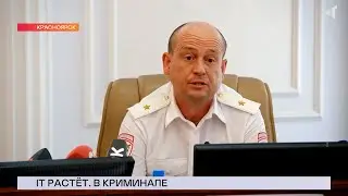 06.08.2024. «Новости Северного города». Криминальный рост. Спрос не беда? Архив преодоления.