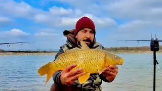 Şubat Ayı Sazan Avı | Kış Mevsiminde Balık Avı | Run sesine doydum💛
