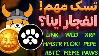 فوری❌تسک مهم پاوز❌انفجار این ارزها | همستر | فلوکی | میم