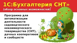 #1СдляСНТ Демонстрация возможностей "1С:Бухгалтерия СНТ" (фирма "СЕРВЕР")