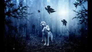 Музыка Полнолуние | Music Full Moon
