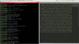 Busercamp_2 - A linha de comando 4 - Manipulando arquivos