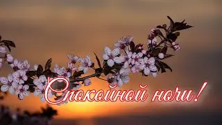 СПОКОЙНОЙ НОЧИ! Доброе Пожелание на Ночь! Приятных Снов!