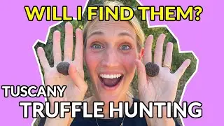 Hunting For RARE 