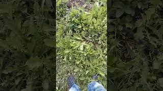 Дачный участок!!!