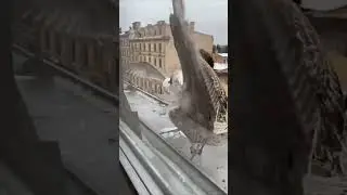 Битва