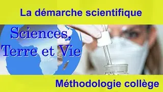 La démarche scientifique au collège