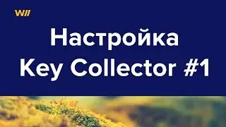 Составление семантического ядра настройка keycollector #1