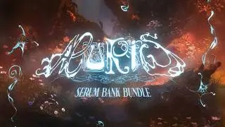 AURIS SERUM BANK | 40+ SERUM PRESETS + GROSSBEAT + PORTAL PLAYBOI CARTI NETTSPEND OSAMASON 2HOLLIS