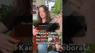 ✨Kaepora Gaebora✨ #videogamemusic #ocarinaoftime #nintendo #n64 #legendofzeldaocarinaoftime