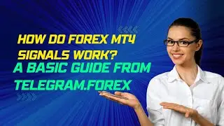 How Do Forex MT4 Signals Work? A Basic Guide From Telegram.Forex. Forex Trader Tools.
