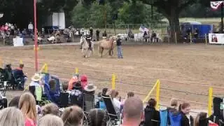 Ribbon Race  FAIL Western-Festival Junkern-Beel 2019