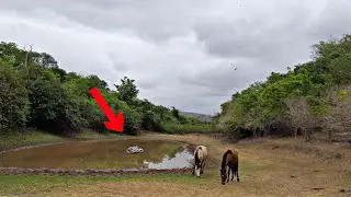 FOMOS PESCAR CAMARÃO!