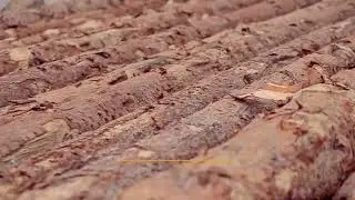 От идеи до реализации!