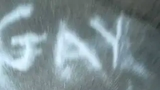 the only gay in the village