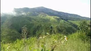 Video Background Gunung Welirang  || Ambient Music No Copyright || Free Footage Video ||