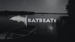 Justin Bieber - What Do You Mean (Remix) - BatBeats