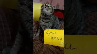 Ну купиии😊😊😊