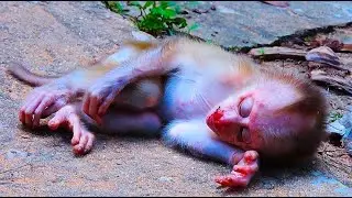 Oh Godness Kindly Bless Baby LEO !! Baby LEO Has Been Lost C-onscious And W-eaker As N0 Milk Support