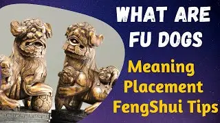 What Are Fu Dogs, Chinese Lions Statue Meaning, Fu Dogs Placement, How To Use Fu Dogs For Protection