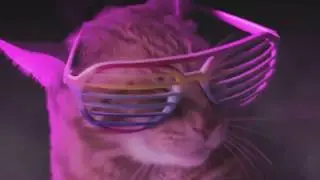 Meow Mix Song EDM Cat Remix by Ashworth Ayon Bootleg