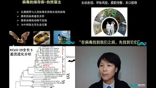 武汉病毒所“蝙蝠女侠”石正丽带你了解新型冠状病毒 战疫情 科学的力量 腾讯视频   2020 03 09