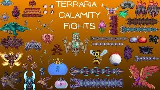 Fighting EVERY Terraria and Calamity Mod Boss