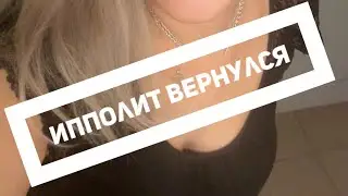 Ипполит Вернулся #жизньвсша #учебавсша #украшения #антиквариат #домашниеживотные #кот #такса #влог