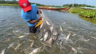 Unbelievable Cast Net Fishing Videos Catching Lot of fish by cast net | Net fishing videos( Bishnu  