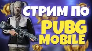 ☘️СТРИМ PUBG MOBILE С ПОДПИСЧИКАМИ, ИГРАЕМ ЛОКАЛКИ И КАСТОМКИ,☘️