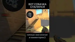 спалил читы 