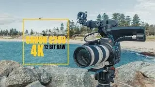 Canon C200 Cinema Camera 12 Bit RAW 4K C-Log 3 Video Test