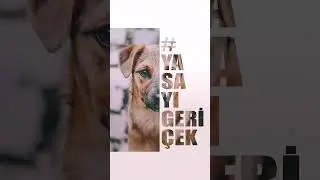 #yasayıgeriçek
