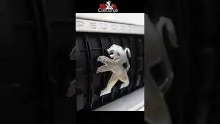 Магнитола Teyes, акустика MBQ на Citroen Jumpy, Space Tourer, Peugeot Expert 3