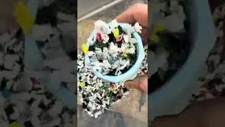 Micro-recycling in my garage