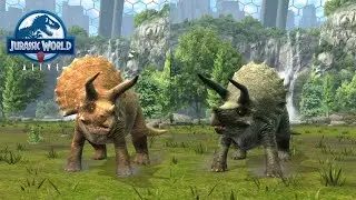 Triceratops and Triceratops Gen 2 in sanctuary