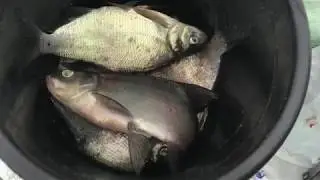 Зимняя рыбалка