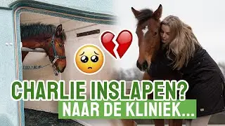 Moet Charlie worden ingeslapen? 😢 || Vlog #306