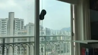 Cop Rose Time Lapse
