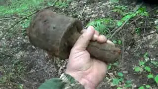 коп по войне в калужской области встреча с зубром