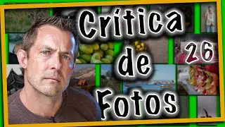 Crítica de fotos. ¡Mejorar para ganar! 26