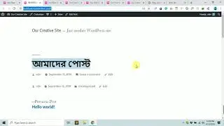 WordPress admin panel using