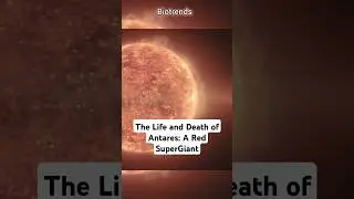 The Life and Death of Antares: A Red Supergiant's Final Gift to the Universe