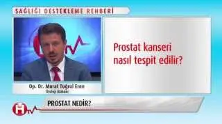 PROSTAT HASTALIKLARI / SAĞLIĞI DESTEKLEME REHBERİ