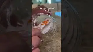 making the VIRAL fluffy coke. 1000/10 recommend!