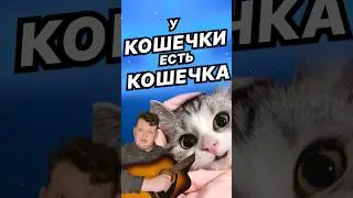 У кошечки есть кошечка | Shorts