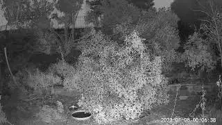 If a tree falls in the backyard, does it make a sound?