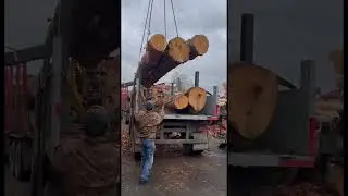 НЕ БЫТЬ КАК ВСЕ!