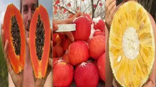 😍Bess Farm Fresh Ninja Fruits | Amazing Fruits Cutting Skills | Oddly Satisfying Videos #29